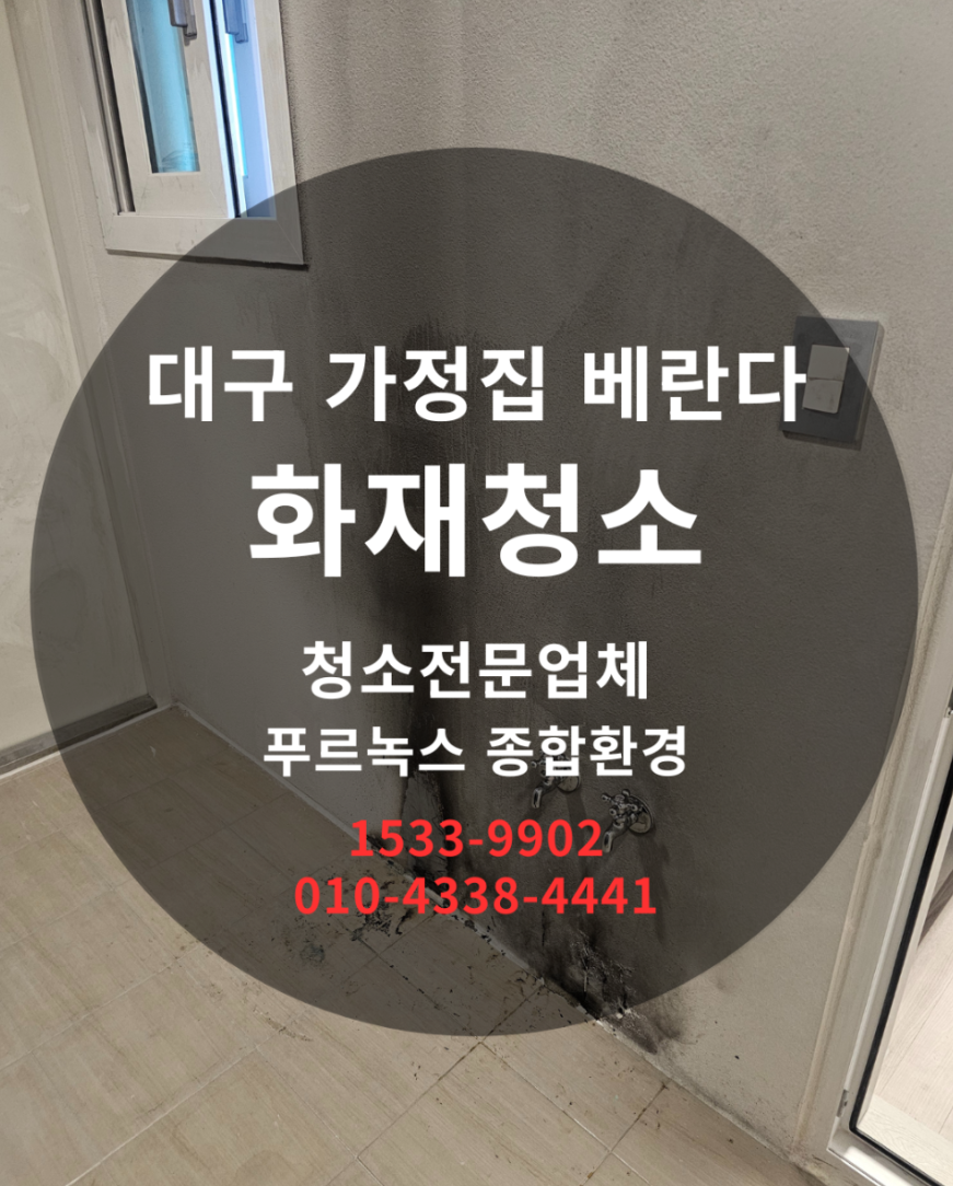 갤러리 이미지 8